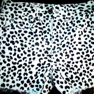 American Eagle Cheetah Shorts!